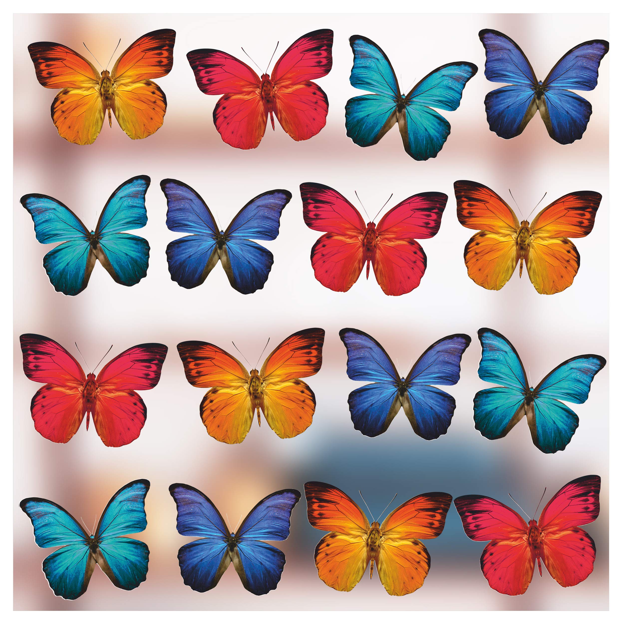 16 x Large Butterfly Window Stickers for Glass Decorations - Beautiful Double Sided Static Cling Decals - Anti Collision Bird Strike Stickers