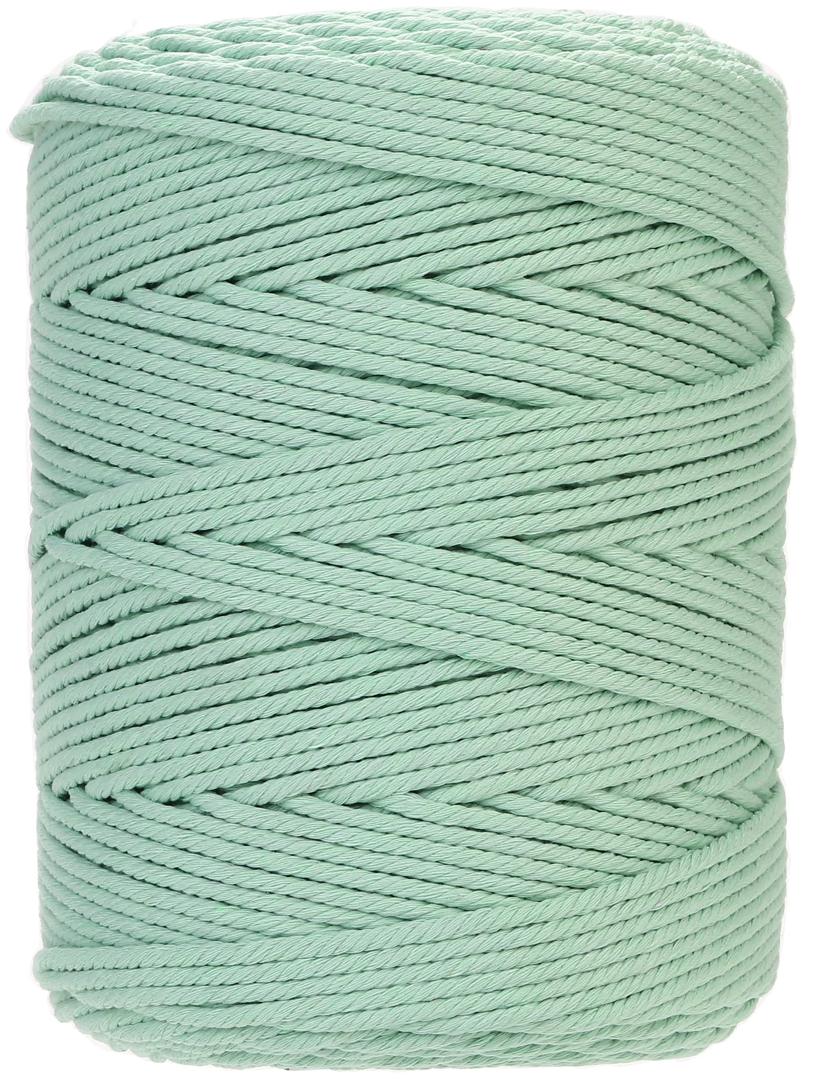 GOHOF Macrame Cord 4mm x 300m Premium Cotton Rope, 4 Strand Twisted Soft String for Macrame Art Without Chemicals (Mint)