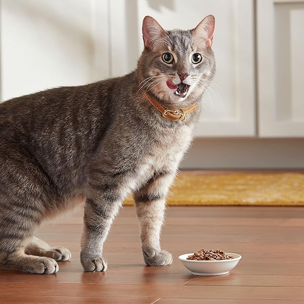 MEOW MIX TENDERS IN SAUCE WET CAT FOOD, POULTRY & BEEF VARIETY PACK, 2.75 OUNCE CUP (PACK OF 24)