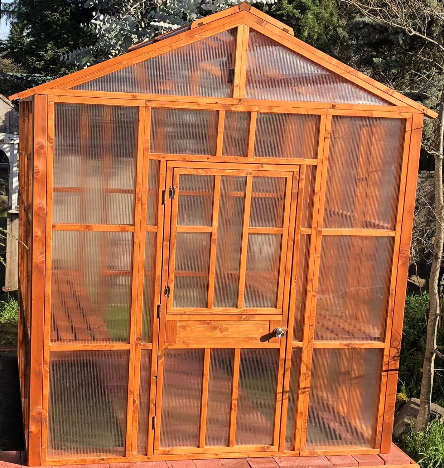 Amazon Com Nw Green Panels Large Walk In Greenhouse 8x8 Outdoor Gardening Organic Cedar Greenhouse With All Wood And 8mm Pollycabonate Framing With Dutch Door Garden Outdoor