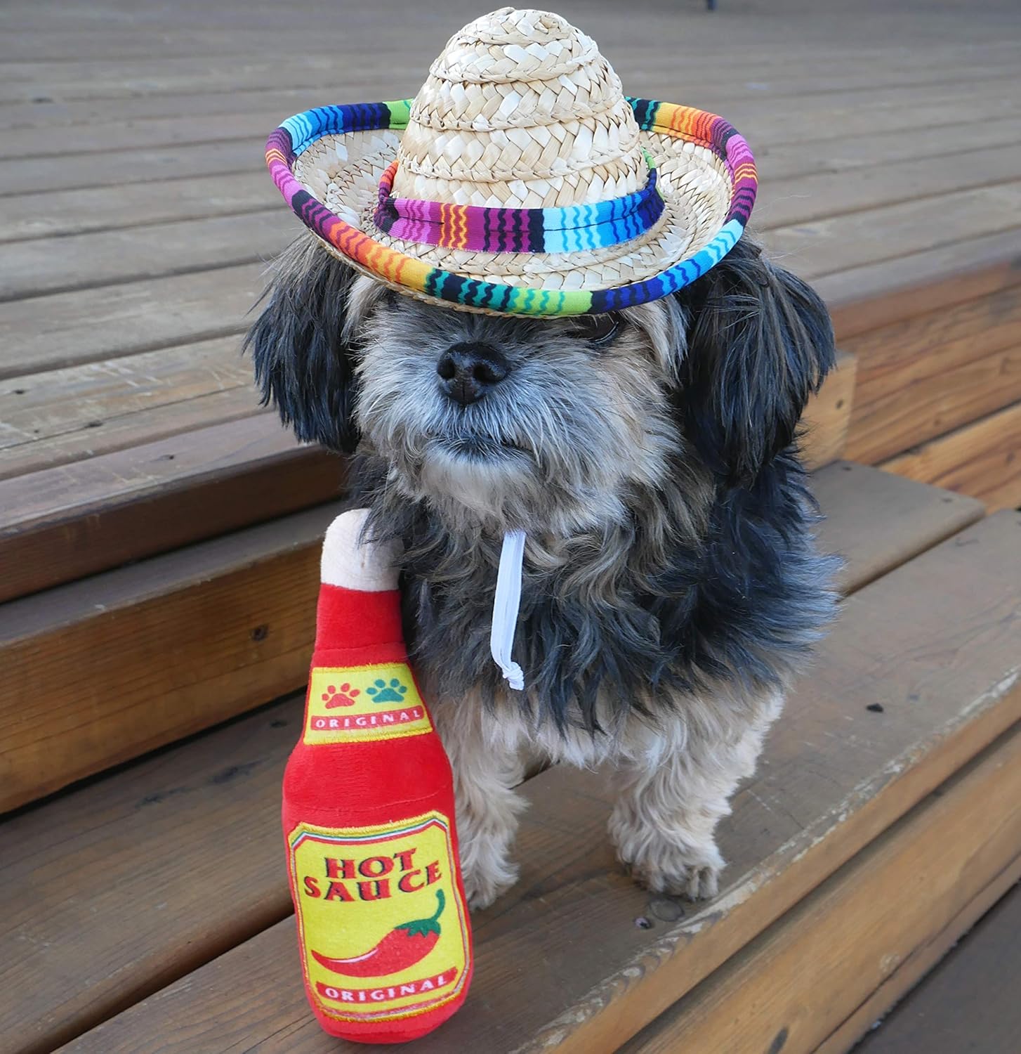 Dog Sombrero and Hot Sauce Plush Toy Pack - Funny Dog Costume and Chew Squeak Toy - Chihuahua Clothes - Mexican Party Decorations : Kitchen & Dining