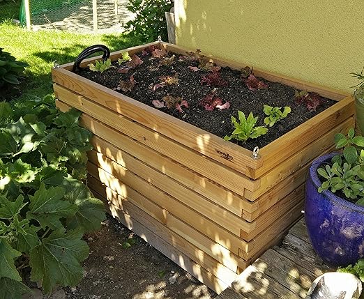 Gartenfrosch Rana de jardín de Madera de alerce, 140 x 80 x 880 ...