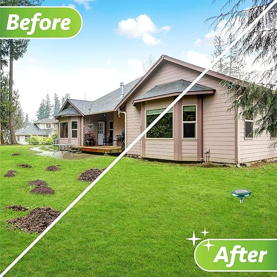 Amazon.com : Livin Well Solar Mole Repellent Yard Stakes - 4pk Ultrasonic Outdoor Pest Control Rodent Repeller Spikes, Get Rid of Moles Voles and Gophers ...