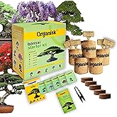 Organisk™ Bonsai Starter Kit – 5 Unique Tree Types, Complete DIY Bonsai Growing Kit for Beginners – Includes Seeds, Pots, Soi