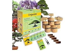 Bonsai Starter Kit - 5 Unique Tree Types, Special DIY Garden Hobby Kits - Great for Plant Lovers, Kids, Men, Women, and Bonsa