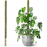 DUSPRO 80 Inches Large Moss Pole for Plants Monstera, Plant Stakes for Indoor Plants, Monstera Plant Support, Plant Support/Plant Pole for Big Climbing Plants Indoor (1pc., 80'')