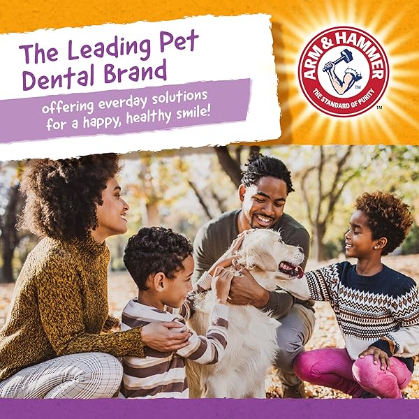 ARM & HAMMER FOR PETS NUBBIES DENTAL TREATS – BAKING SODA & CALCIUM DOG DENTAL CHEWS, NUBBED TEXTURE HELPS SCRUB PLAQUE & TARTAR WHILE CHEWING, PEANUT BUTTER FLAVOR, 20 COUNT, 7 OUNCE