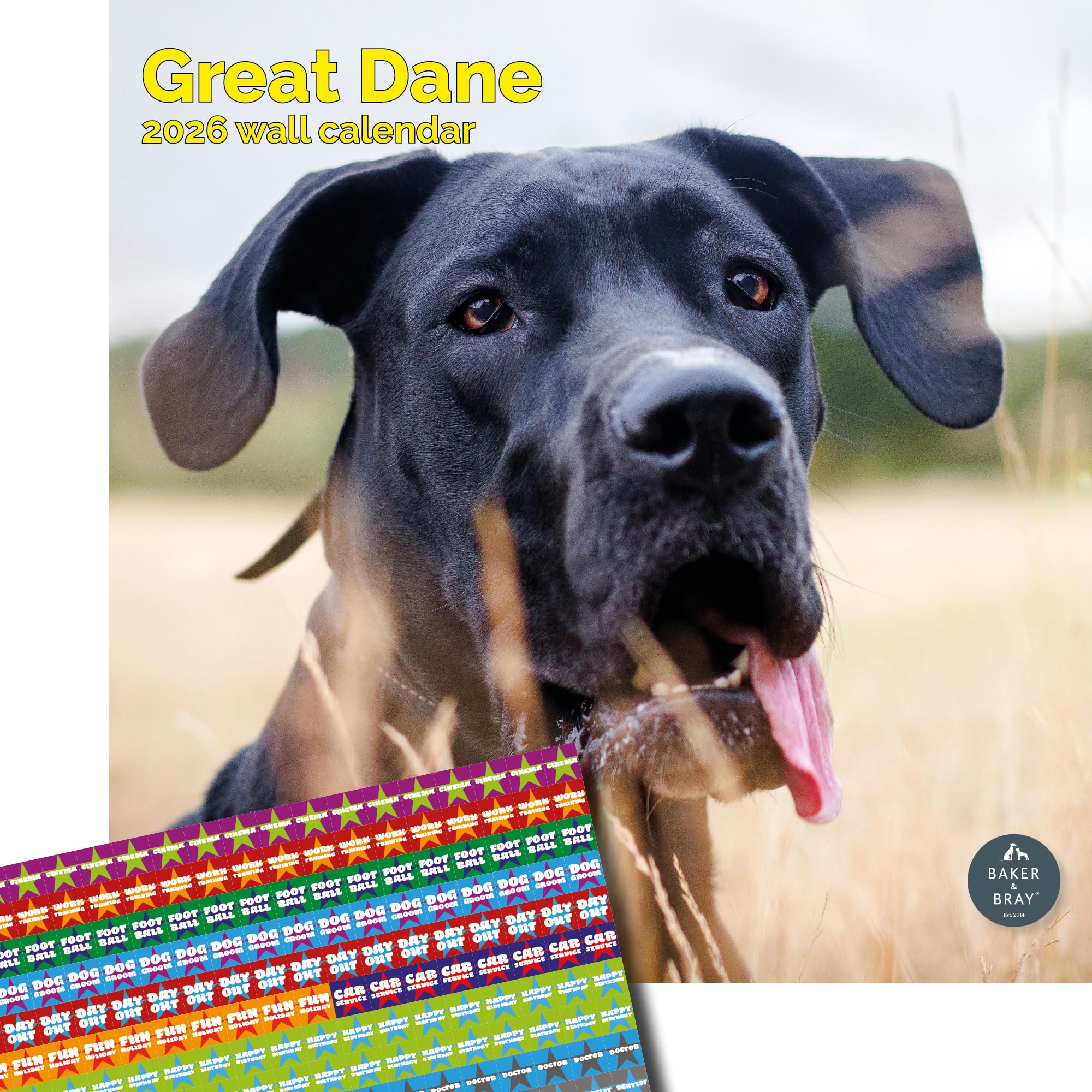 Baker and Bray Great Dane Calendar 2025, Large Square Wall Calendar, 16 Month, Great Dane Gift Dog Calendar.