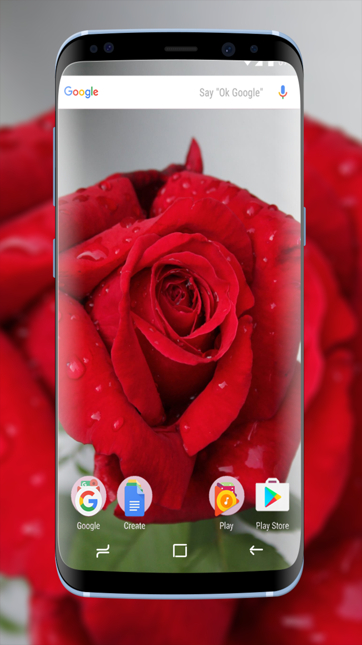 Amazon.com: Blooming Red Rose Wallpapers: Appstore for Android