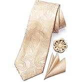 TaecMin Tie Set Ties for Men Paisley Neckties and Pocket Squares Set with Flower Lapel Pins for Weddings