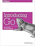 Introducing Go: Build Reliable, Scalable Programs