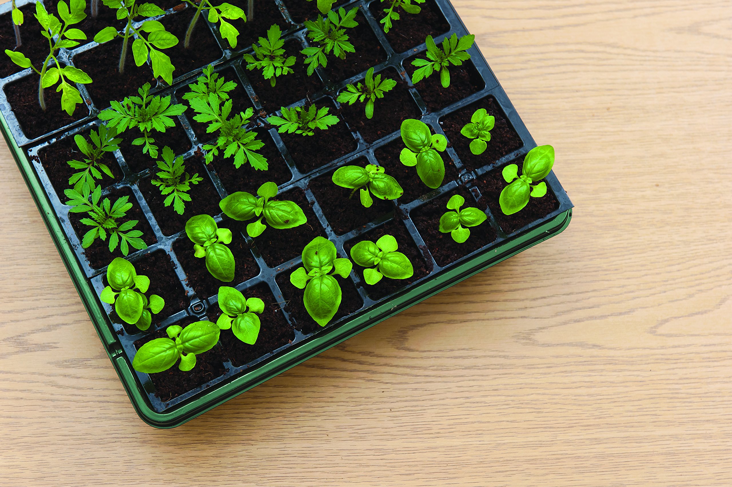 Burpee Seed Starter Tray with Coir Pellets, One Size, 72 Cells- Buy