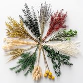 12 Kind Dried Flowers Set - Including Lavender, Eucalyptus, Wheat, Bunny Tails, Handmade for DIY Crafts, Vase Decor, Wedding/Home/Birthday/Seasonal Decor