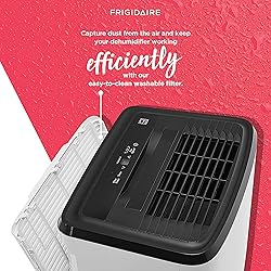 22 Pint Dehumidifier