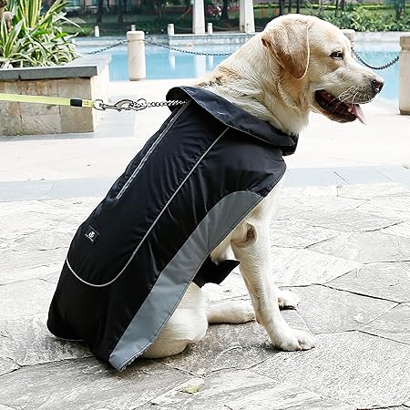 dog rain coats amazon