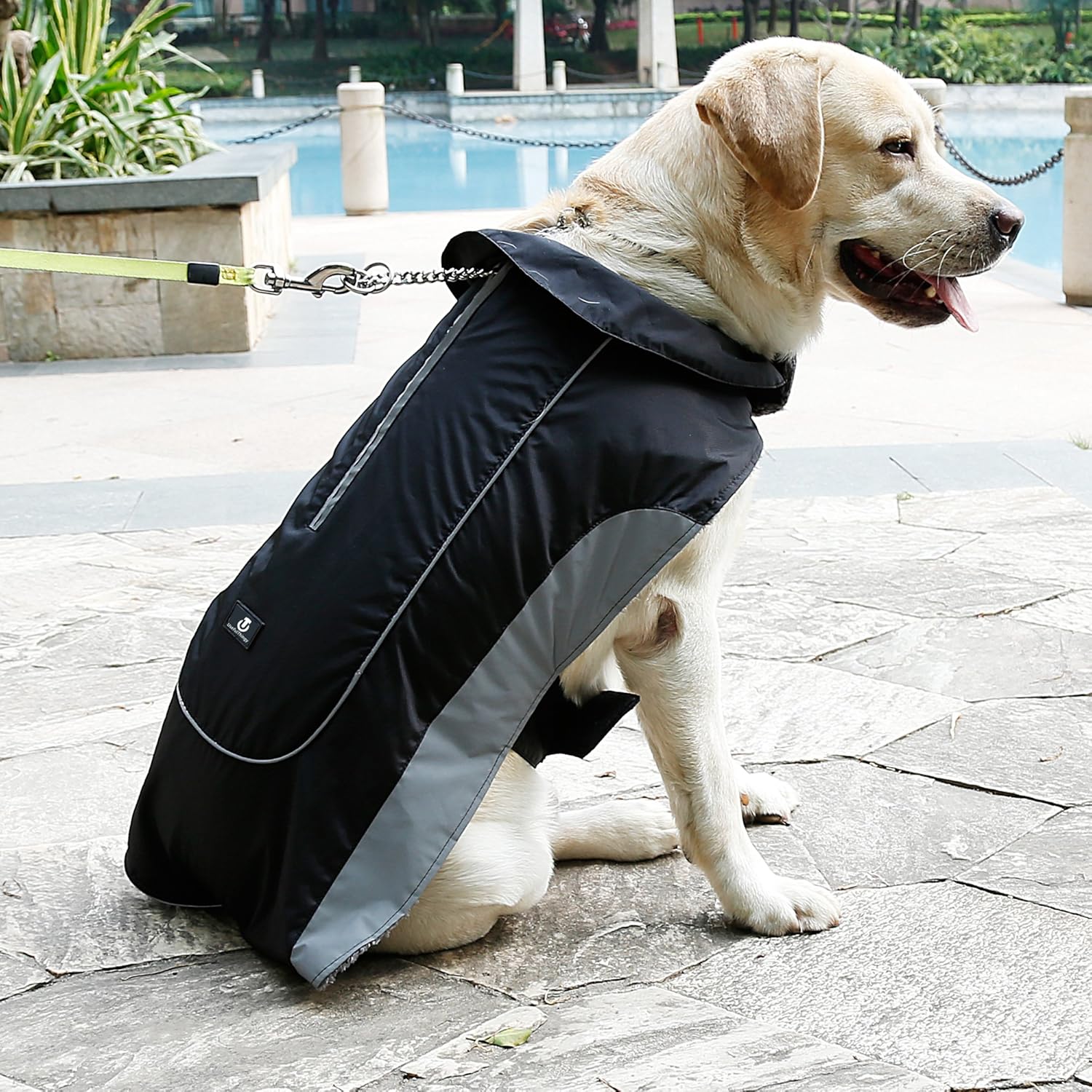 UsefulThingy Dog Rain Coats for Small Medium or Large Dogs