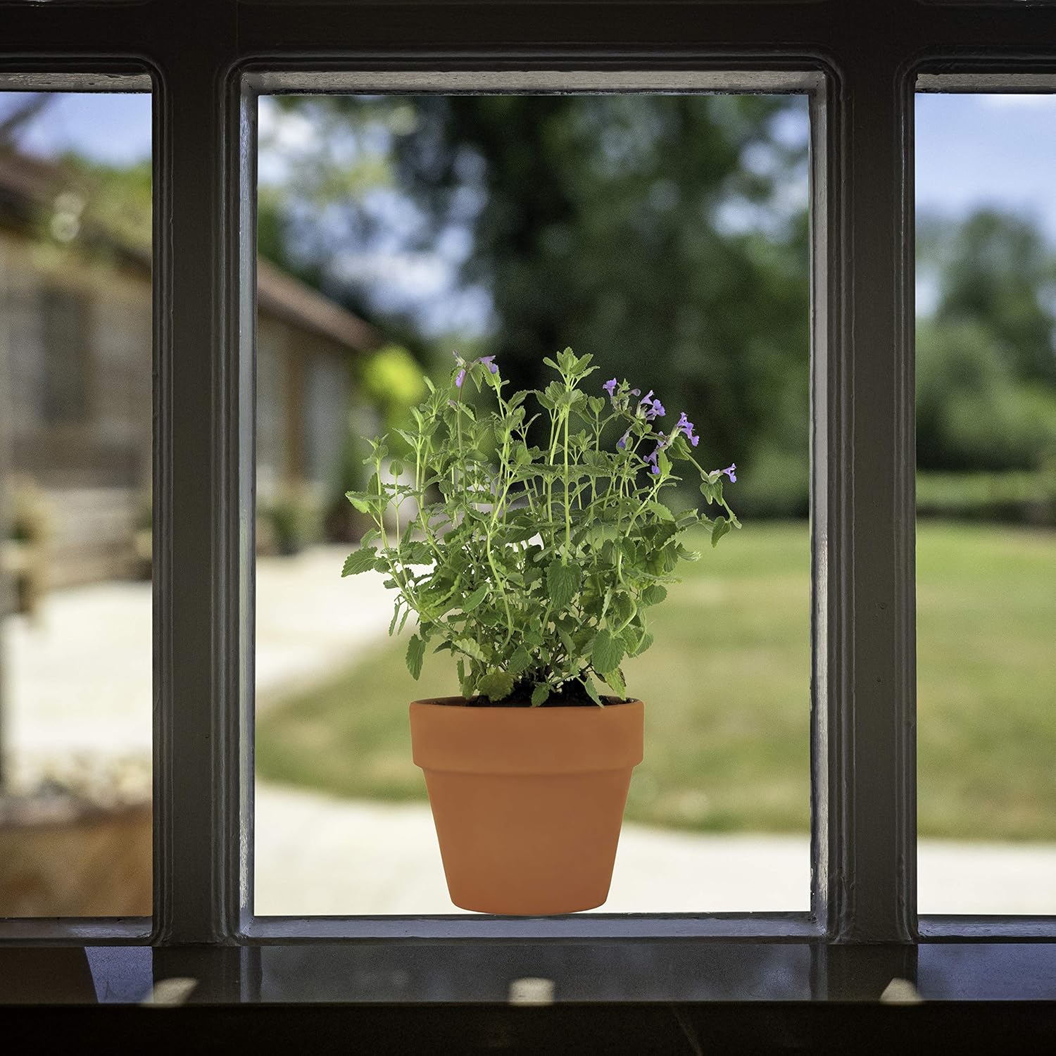 Krautertopfe Glasaufkleber Mit 14 X Schmetterlings Zusatzlich Gartenhaus Sticker Doppelseitige Und Selbstklebend Zum Schutz Gegen Vogelkollisionen 9 X Fenster Sticker Aufkleber Mit Krauter Motiven Aufkleber Wohnaccessoires Deko
