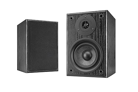 Dual LS 100 Aktiv-Lautsprecher Set (Phono-Eingang, integrierter Verstärker für Plattenspieler, Paar) schwarz