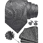 GUSLESON Paisley Tie Set for Men 3.15" Necktie Lapel Pin Hankerchief Cufflinks Set for Men