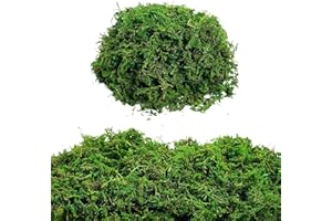 GUSALOO Green Moss for Potted Plant 8.81OZ Artificial Moss Decorative Moss for Crafts Orchid Potting Mix Faux Sphagnum Peat Moss Pole DIY Arts Floral Wedding Decor Centerpiece Fairy Garden Decoration