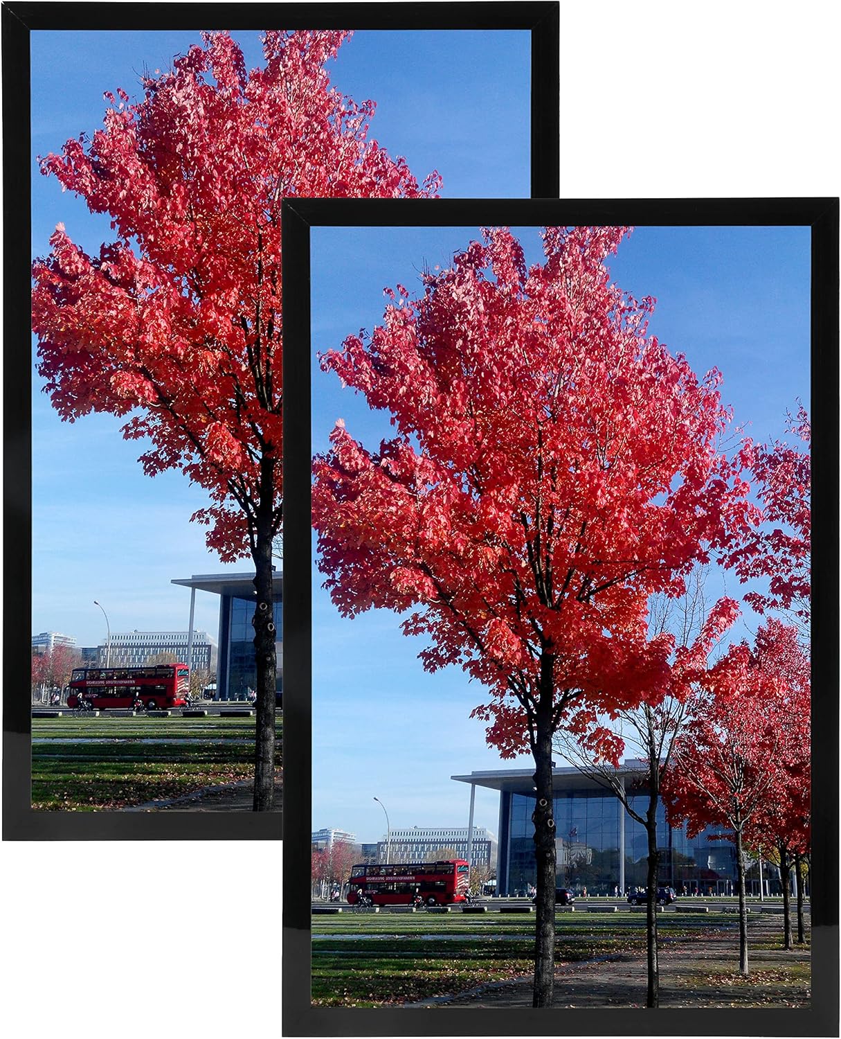 Photo Albums, Frames & Accessories - Medog 8.5x11 Picture Frame Black 8.5x11 Diploma Frame Certificate Document Frame Set of 2 Display for 8.5x11 Inch without Mat to Display Certificate Diploma 8.5”x11” (8.5x11 2Pack)