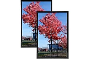 Medog 8.5x11 Diploma Certificate Frame,Document Frame Display Pictures 8.5x11 Picture Frame Black, 2 Pack