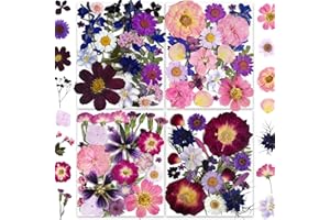 150PCS Purple Dried Pressed Flowers with Butterfly Stickers - YouthBro Real Nature Flowers Set for Resin DIY Jewelry Candle Soap Vase Making Nail Card Scrapbook Art Craft Floral Decors