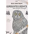 Superintelligence: Paths, Dangers, Strategies