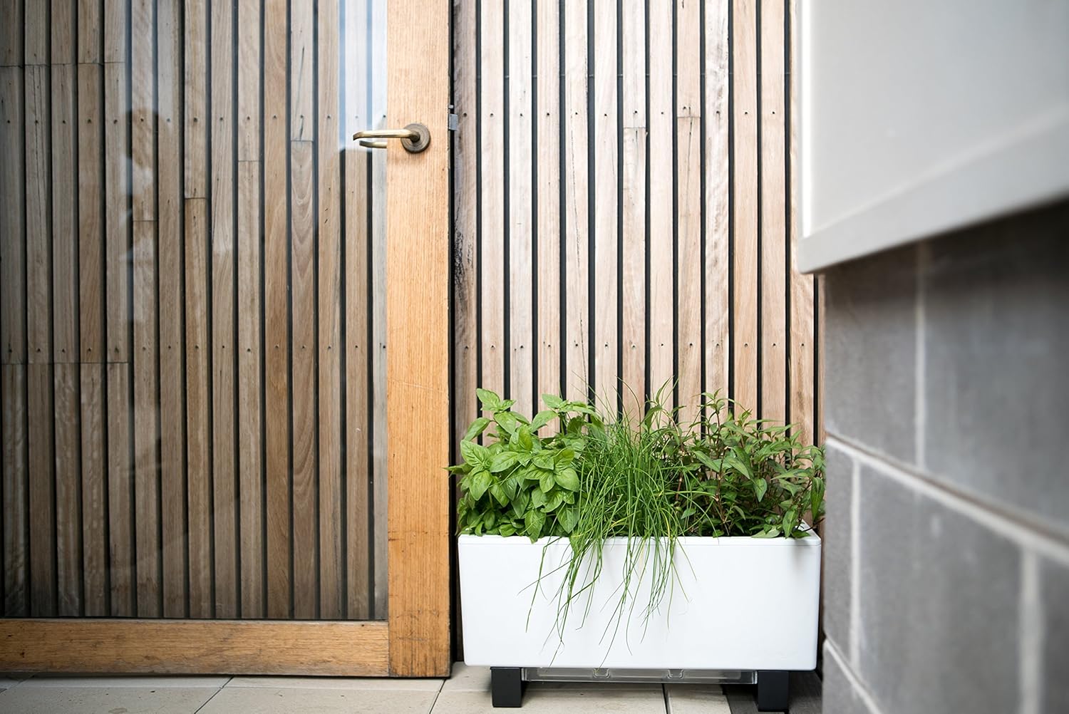 Glowpear Self-Watering Mini Bench Planter : Garden & Outdoor