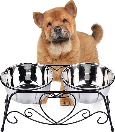 dog high feeder