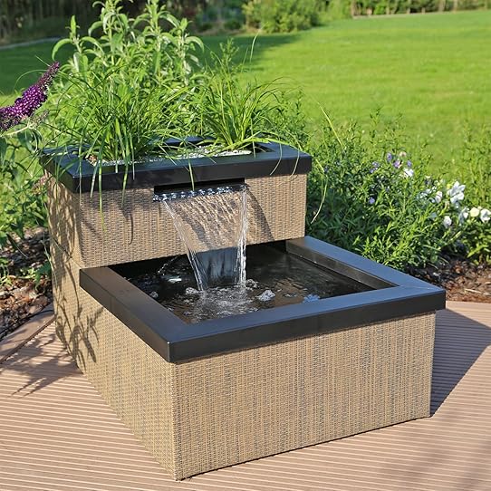 bassin de jardin amazon