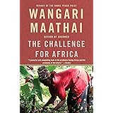The Challenge for Africa
