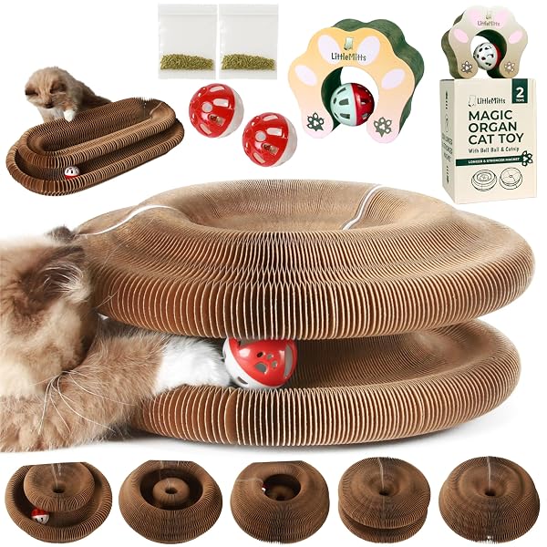 2-PACK ACCORDION CAT TOY SCRATCHER – CAT TOYS...