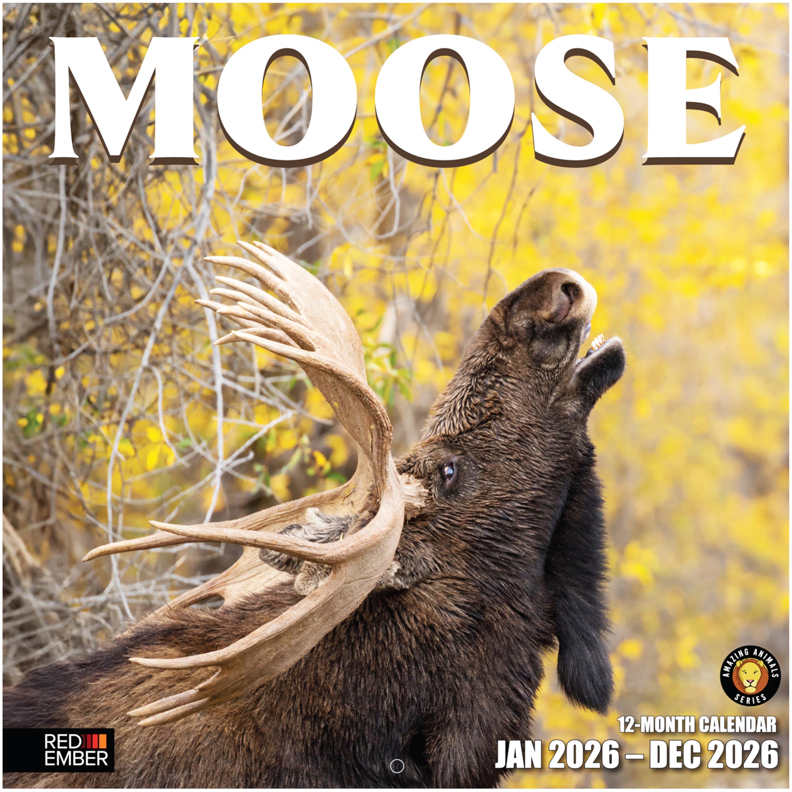 RED EMBER Moose 2026 Wall Calendar 12 Month | 12" x 24" Open | Thick ...