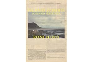 Island Zombie: Iceland Writings