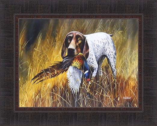 pointer hunting dog