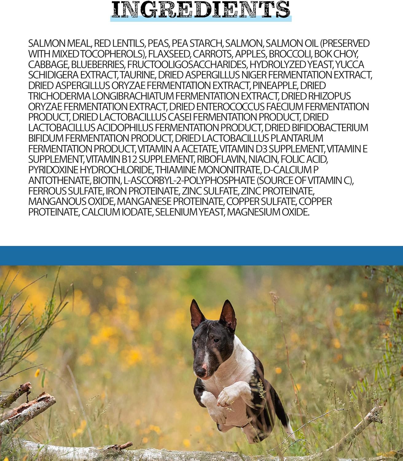 pulsar dog food review