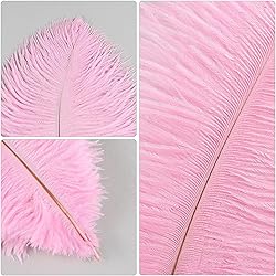 THARAHT Pink Ostrich Feathers 24pcs Natural Bulk