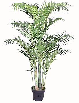 PASAMO 06996 Areca Palme, Goldfruchtpalme, Echtholzstamm, Kunstpflanze 125cm