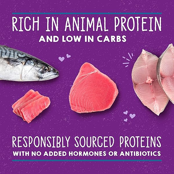 STELLA & CHEWY’S CARNIVORE CRAVINGS SAVORY SHREDS – WET CAT FOOD – HIGH-MOISTURE FORMULA WITH PREMIUM WILD-CAUGHT TUNA & MACKEREL – PERFECT FOR PICKY EATERS – 5.2 OZ, 8 COUNT