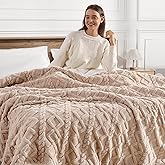 Heated Blanket Queen Size Electric Blanket - 84"x90" Washable Dual Control Heated Blankets for Bed with Fast Heating & Overheat Protection, 5 Heating Levels and 10 Hours Auto-off, Great Gifts (Beige)