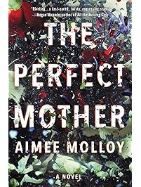 The Perfect Mother: A Novel