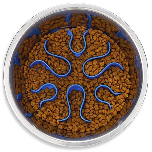 Outward Hound Stainless Steel Slow Feeder Bowl, Plastic Puzzle Maze for Fast Eaters, Small to Medium Dogs, Helps Prevent Bloat & Aid Digestion, Holds 2 Cups Wet or Dry Food, Non-Slip, Made Without BPA