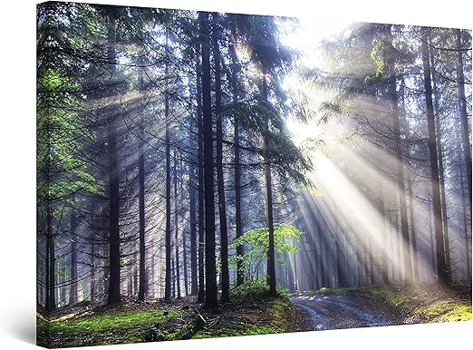 Amazon Com Startonight Canvas Wall Art Light In The Forest