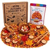 7 Days of Play Autumn Sensory Kit for Kids, Fall Sensory Bin Filler, Seasonal Toddler Activity Kit, Creative Play Set for Imaginative Learning