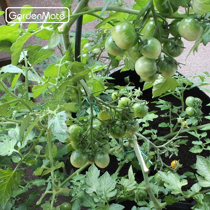 GardenMate® 5X 30l Sacos para Plantas de Malla geotextil ...