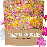Cosmos Seeds Wildflower Mixture - Bulk 1 Ounce Packet - Over 5,000 Seeds - Pink, Yellow, Orange, Red, Purple and White Mixed Species!