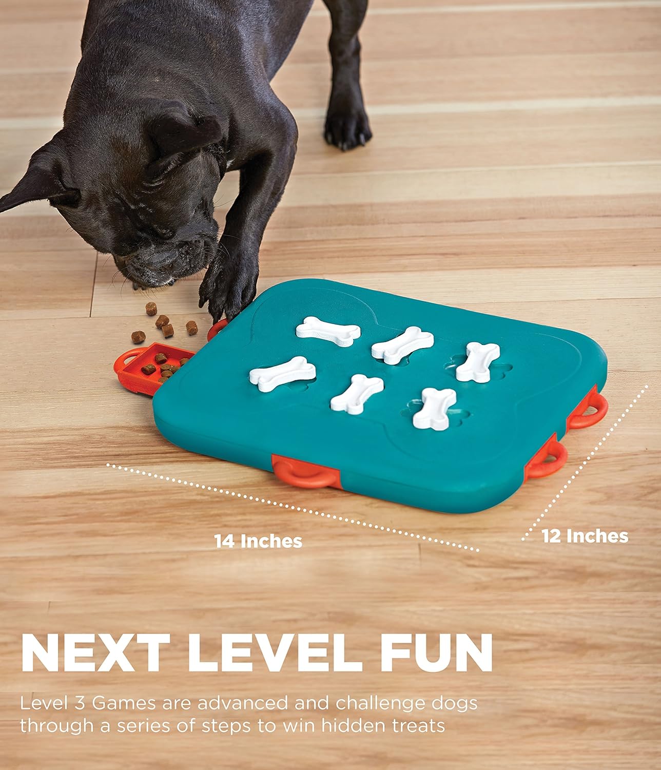 advanced dog puzzles