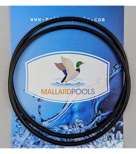 Pentair 357100 Dichtungsplatte Schwarz – Ersatz Für Pool- & Spa-Ingroundpumpen