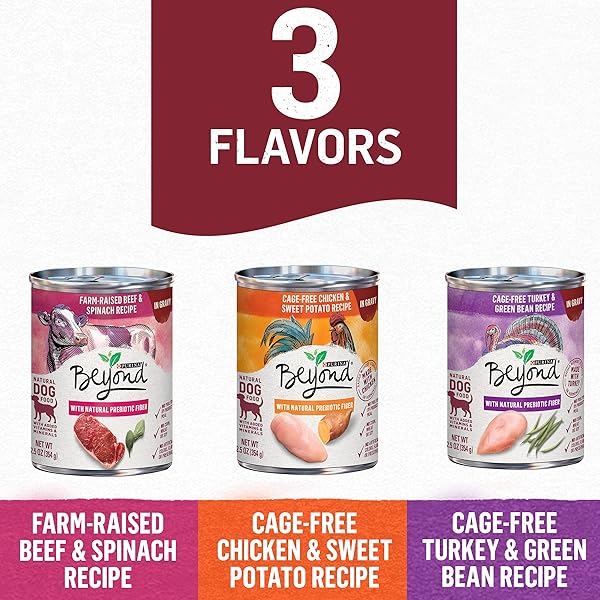 PURINA BEYOND GRAVY, BEEF, CHICKEN OR TURKEY IN GRAVY GROUND ENTREE GRAIN FREE WET DOG FOOD VARIETY PACK – (PACK OF 6) 12.5 OZ. CANS